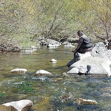 Oda ve Kahvaltı Villadansio 3*