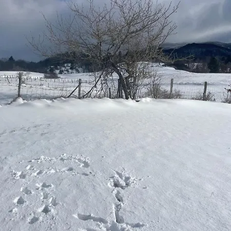 Oda ve Kahvaltı Villadansio