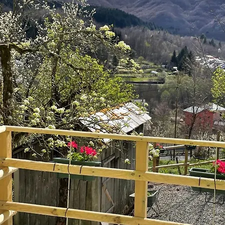 Oda ve Kahvaltı Villadansio