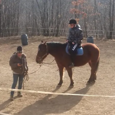 Villadansio Nocleg ze śniadaniem 3*