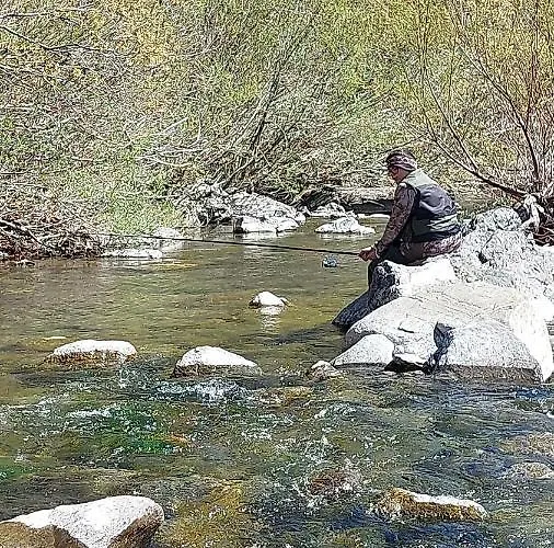 Bed & Breakfast Villadansio 3*