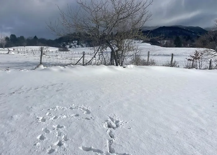 Bed & Breakfast Villadansio